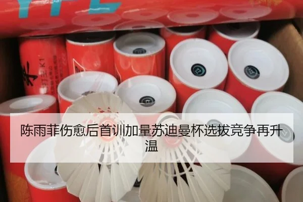 陈雨菲伤愈后首训加量苏迪曼杯选拔竞争再升温